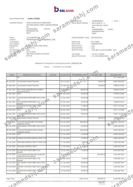 India RBL bank statement Word and PDF template scr
